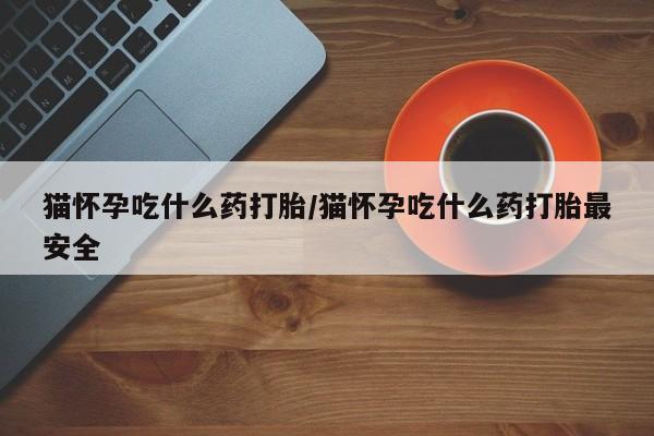 打胎药猫怀孕吃什么药打胎/猫怀孕吃什么药打胎最安全
