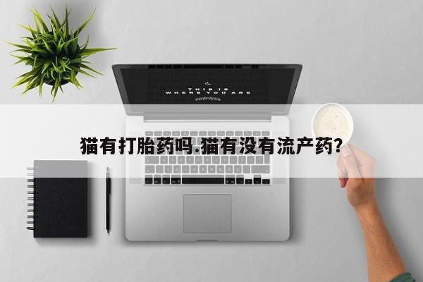 打胎药猫有打胎药吗.猫有没有流产药？